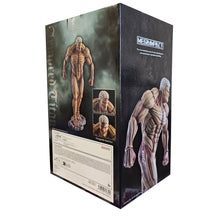 Load image into Gallery viewer, Bring Home the Power of the Armored Titan
Add one of Attack on Titan's most formidable Titans to your collection with this officially licensed Armored Titan Battle of Heaven and Earth Ichibansho Figure by Bandai Spirits.

Standing with an imposing presence, the Armored Titan is recreated with incredible attention to its powerful physique, distinctive hardened armour and exposed muscular detailing. The sculpt captures the intimidating appearance of the Titan brilliantly, while the textured display base compl
